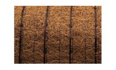 Indian Valley - Coconut Blankets