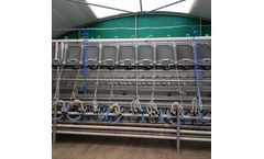 ATL - Model HD90G - Locking Yoke Goat Milking Parlour