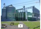 Small Fodder Plant