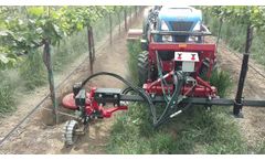 ID David Vineyard Weeder with rear mower - Video
