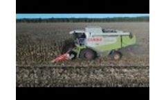 Claas Lexion 520 with MAYA Yunkax 6 Fixed 2 Video