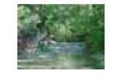 Engineering & Water Resources Services