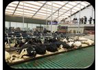 Agriprom - Dairy Cattle Dream Mattress