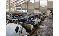 Agriprom - Deep-Bedding Free Stall