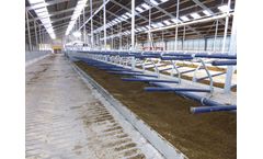 Agriprom - Deep-Bedding Free Stall