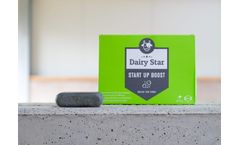 Agriprom DairyStar - Start Up Boost Bolus