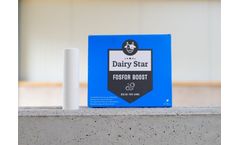 Agriprom DairyStar - Phosphorus (P)/Fosfor Boost Bolus