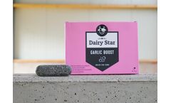 Agriprom DairyStar - Garlic Boost Bolus
