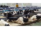 Agriflex - Cow Mattress