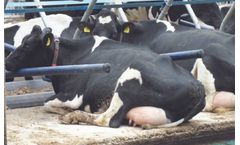 Agriprom - Agriflex Soft Slanted Mattress