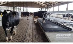 Agriprom - Cow Mattress Top Cover