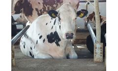 Agriprom - Gel Mattress