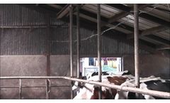 Cooldown Cooling System - Video