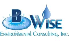 Project in Progress Compliance Assurance Services