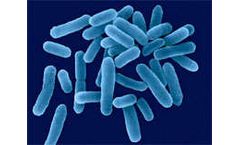 Legionnaires’ Disease Outbreaks Cause Concerns