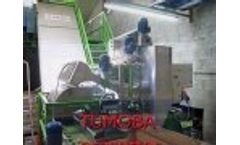 Tumoba butterfly in practice Video