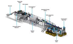 Wyma - Small Potato Line for Post-Harvest Process