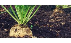 Keith-Mount - Sugar Beet Fertiliser