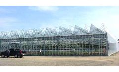 Venlo Cabrio - Ventilation-Optimized Greenhouse for Perennials