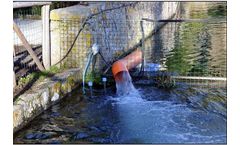 Splash - Elewater Aerator