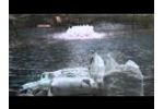 Fishery Consultants - Aquaculture Equipment - Video