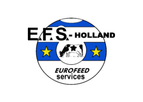 E.F.S - Model RPCs - Microencapsulated Elements