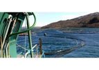 Aquaculture Project Management Services