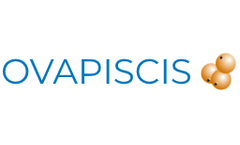 Dispatch and Transport Services