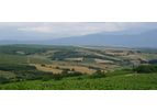 Agriculture and Forestry Services