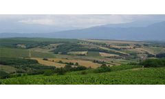 Agriculture and Forestry Services