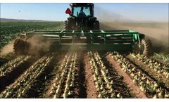 Nicholson - Field Topper