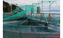 RNT - Custom-made Onshore Fish Farming Tanks & Fish Farming Systems