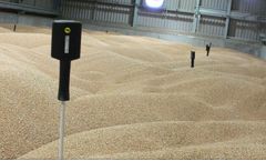 Robydome - Model LSW33 - Wireless Temperature Probes