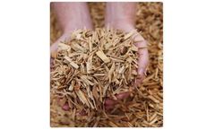 Mossrock - Euca Mulch