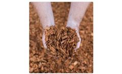 Mossrock - Cedar Chip