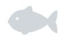 Bird control solutions for the fishing and aquaculture industry