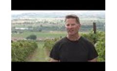 Idaho Wineries Use Laser Bird Repellent to Protect Crops from Birds Video