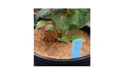 ECOPEAT - 120mm Mulch Coir Fibres