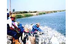 Team - Milkfish Feed