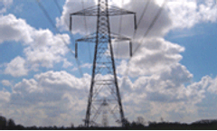 Uk`s largest biomass plant will produce green electricity for 500k homes