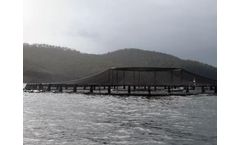 Custom Net Design and Supply Services