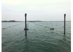 Seaweed Farm