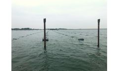 Seaweed Farm