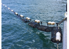 Seapa - Subtidal Systems