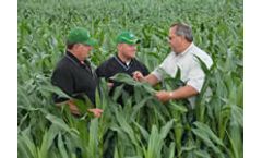 Pioneer - Granular Services