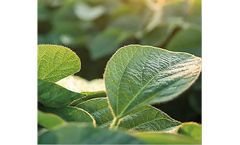 Enlist - Model E3 - Soybeans
