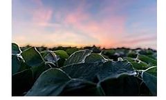 DuPont-Pioneer - Soybeans with Roundup Ready 2 Xtend Technology