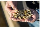 Silage Zone - Feed