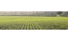 Consistent Crops Services