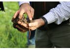 Mzuri - Healthy Soils